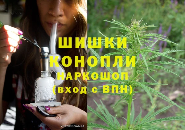 сатива Алексеевка